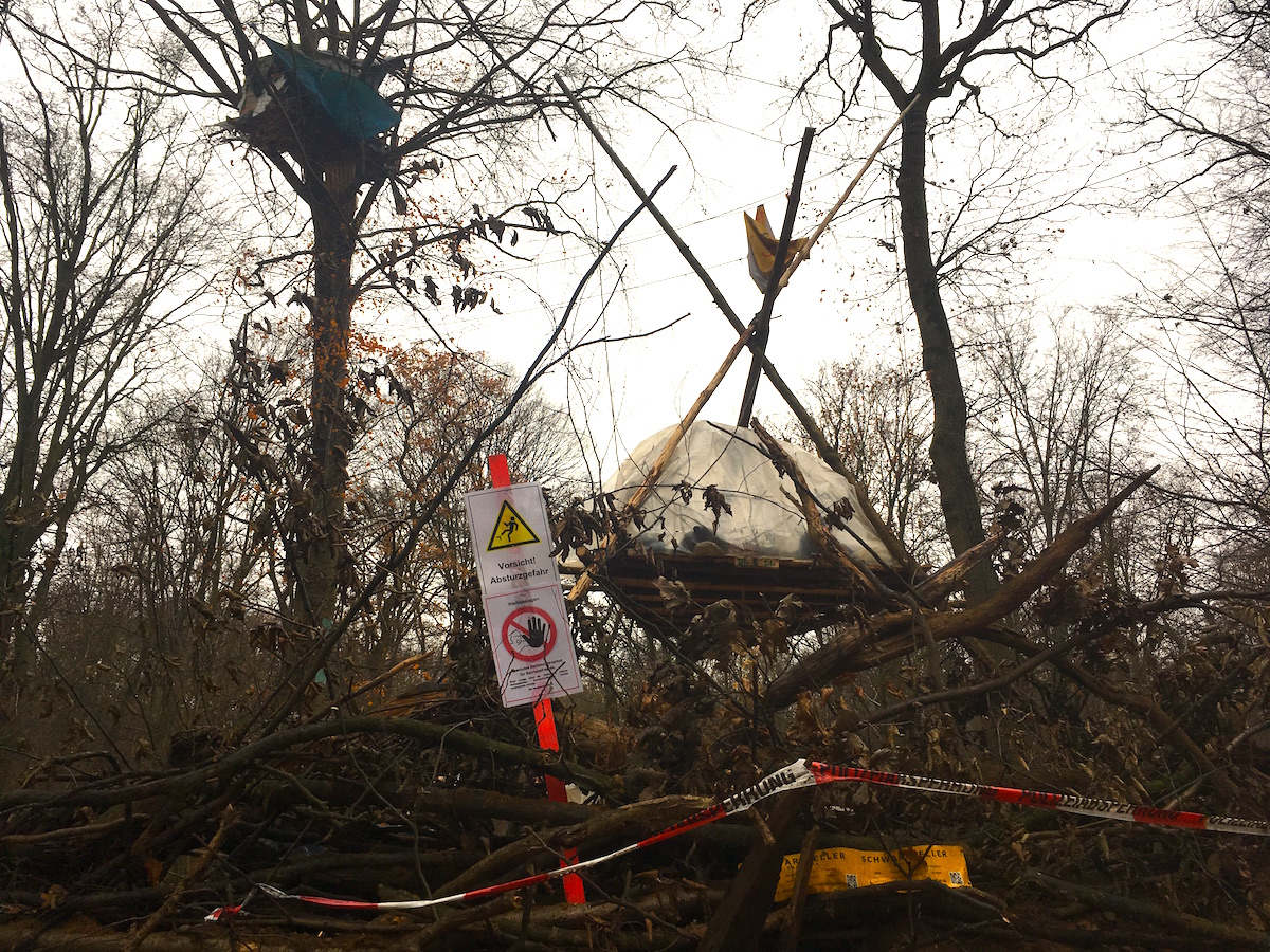 hambacher forst baumhaeser