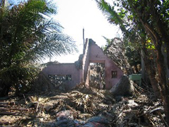 Img_0815_240_180 Img_0815_240_180