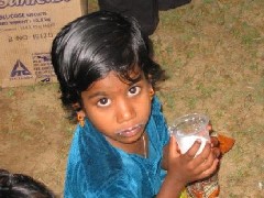 kind_240 kind_240
