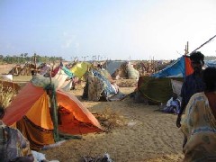 laamman_240 laamman_240