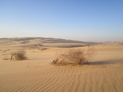 yuma3 yuma3